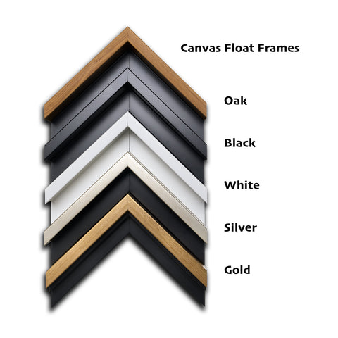 Canvas Float Frames