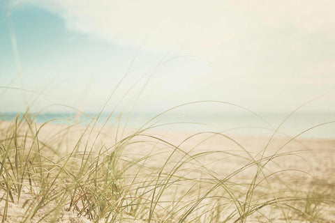 a surfboard sitting on top of a sandy beach