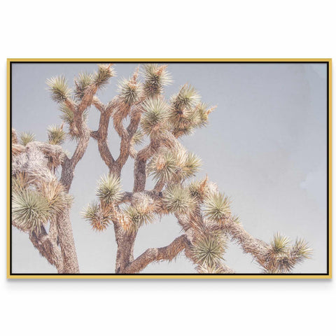 a picture of a joshua tree against a blue sky