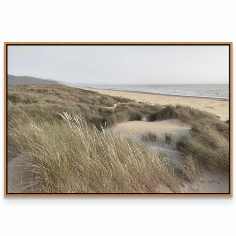 a picture of a beach with grass in the foreground