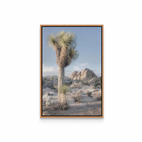 a framed photograph of a joshua tree in the desert