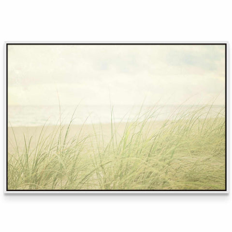 a picture of a beach with grass in the foreground