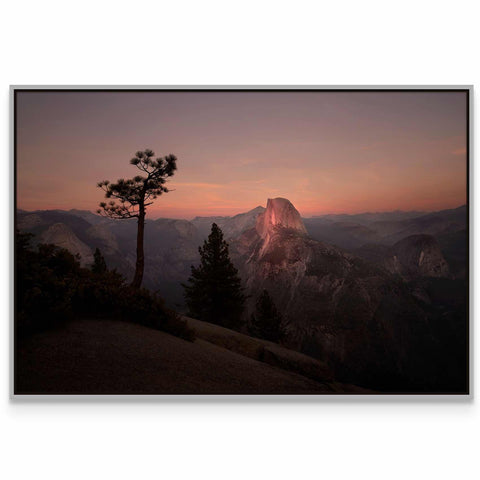 a picture of a mountain at sunset with a tree in the foreground