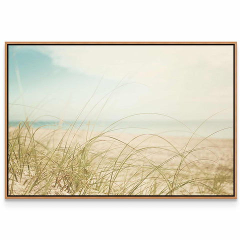 a picture of a beach with grass in the foreground