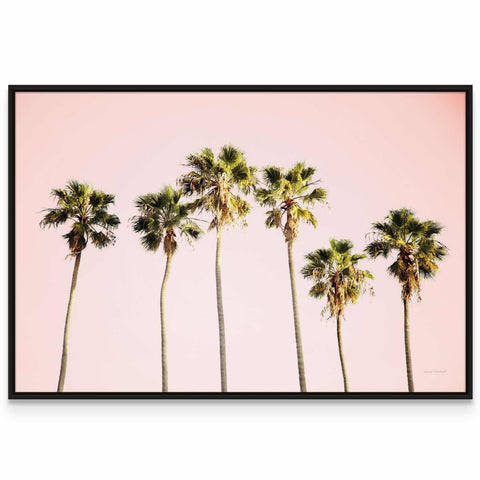 a group of palm trees against a pink sky