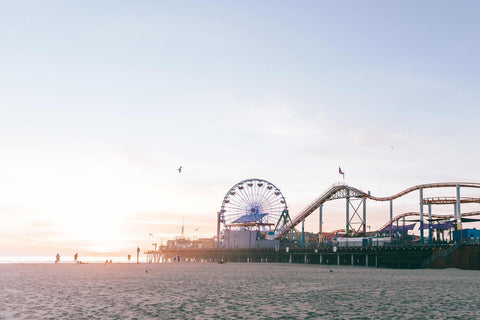 a ferris wheel and a roller coaster on a beach