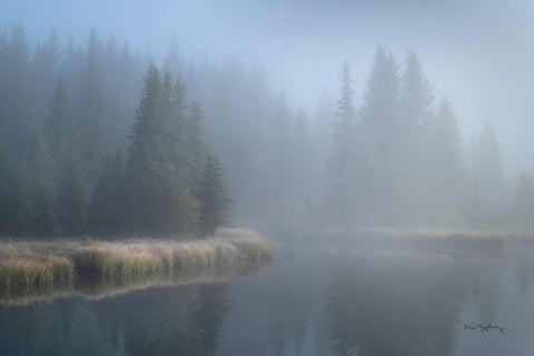 a body of water surrounded by trees and fog