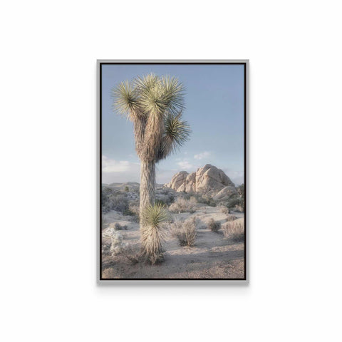 a framed photograph of a joshua tree in the desert