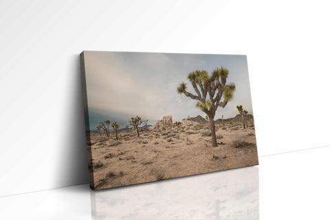 a desert scene with a joshua tree in the foreground
