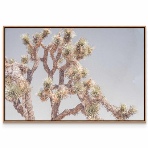 a framed photograph of a joshua tree against a blue sky