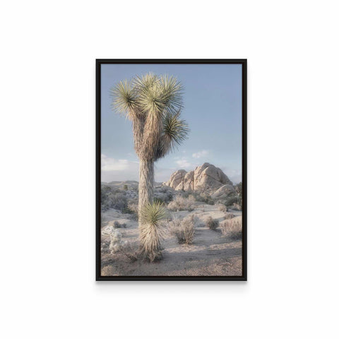 a framed photograph of a joshua tree in the desert