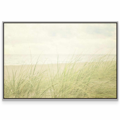 a picture of a beach with grass in the foreground