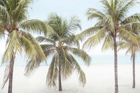 a row of palm trees sitting on top of a sandy beach