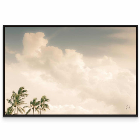 a picture of palm trees against a cloudy sky