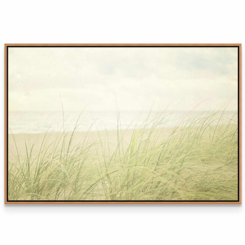 a picture of a beach with grass in the foreground