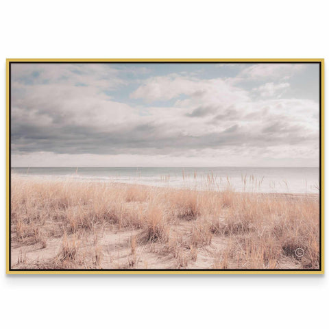 a picture of a beach with a cloudy sky