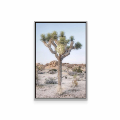 a picture of a joshua tree in the desert