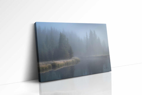 a picture of a foggy lake with trees in the background