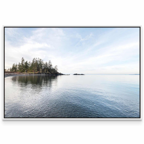 a large body of water surrounded by trees