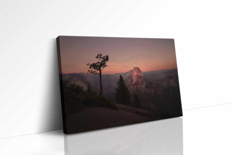 a painting of a tree on a mountain at sunset