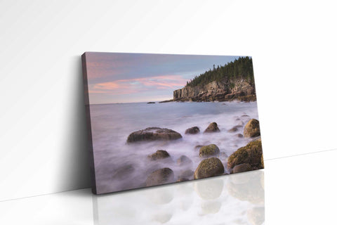 a picture of a beach with rocks and trees