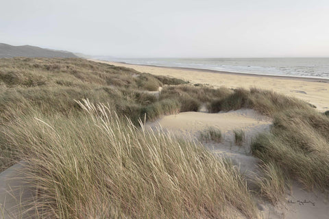 a sandy beach covered in grass next to the ocean