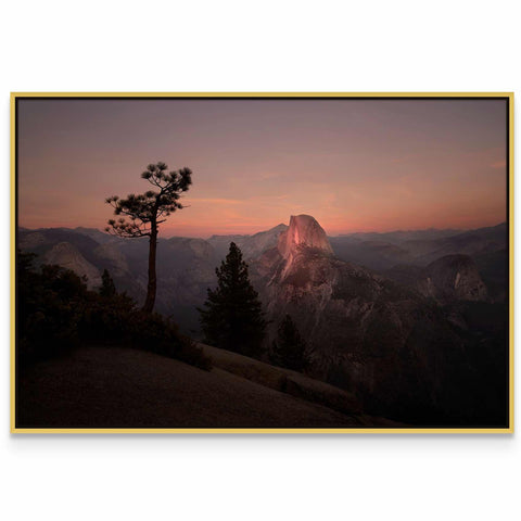 a picture of a mountain with a tree in the foreground