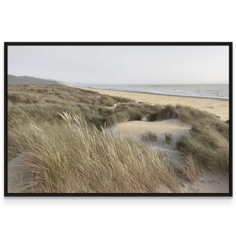 a picture of a beach with grass and water