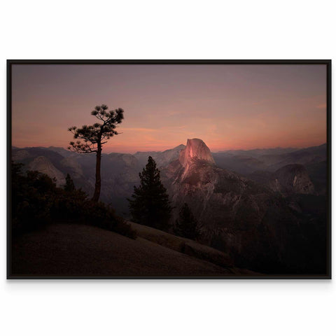 a picture of a mountain with a tree in the foreground