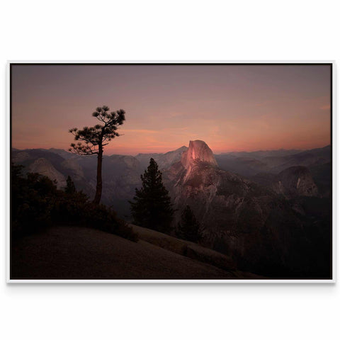a picture of a mountain at sunset with a tree in the foreground