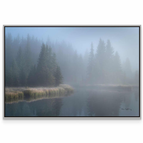 a picture of a foggy lake with trees in the background