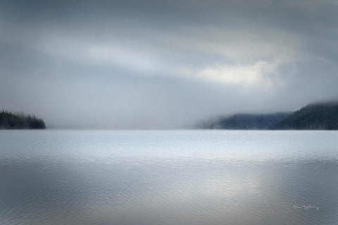 a large body of water surrounded by forest