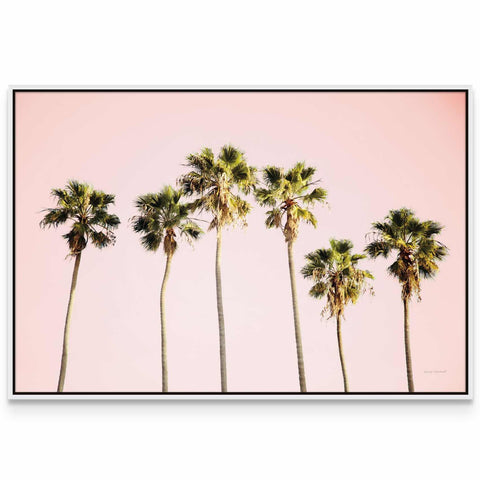 a row of palm trees against a pink sky