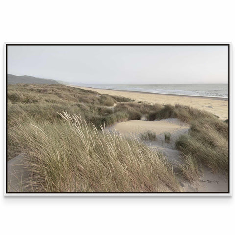 a picture of a sandy beach with tall grass