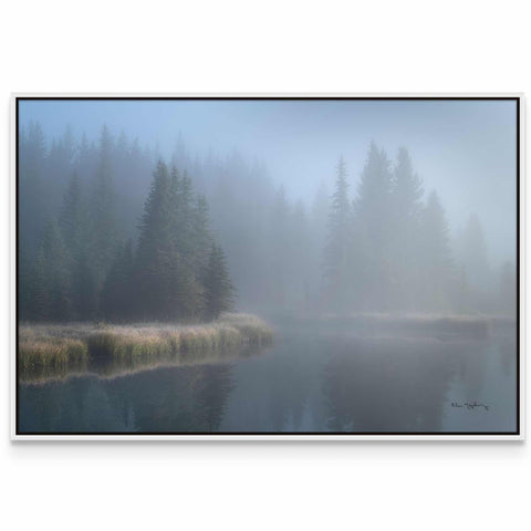 a picture of a foggy lake with trees in the background