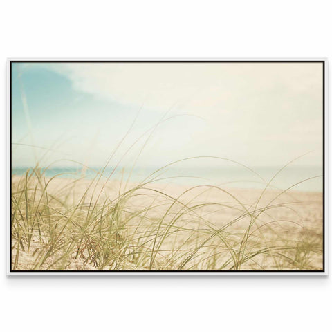 a picture of a beach with grass in the foreground