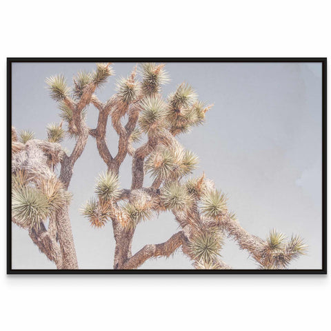 a framed photograph of a joshua tree against a blue sky