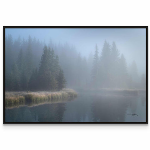 a picture of a foggy lake with trees in the background