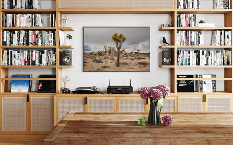 a living room filled with furniture and a book shelf