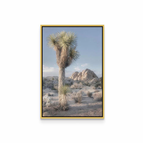 a framed photograph of a joshua tree in the desert