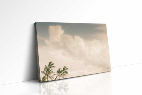 a white wall with a picture of palm trees on it