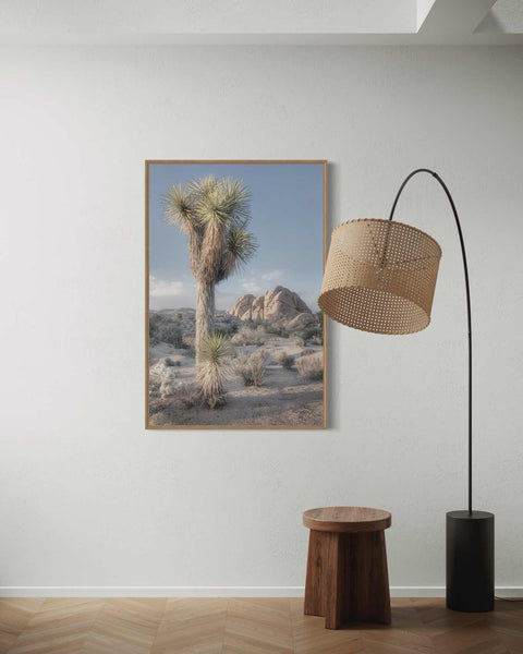 a picture of a palm tree in the desert