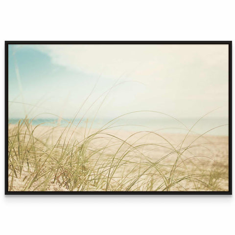 a picture of a beach with grass in the foreground