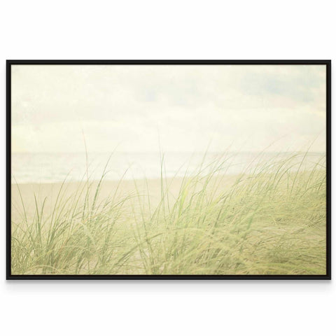 a picture of a beach with grass in the foreground