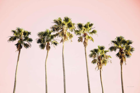 a row of palm trees against a pink sky