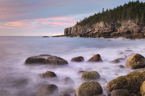 a rocky shore with trees in the background