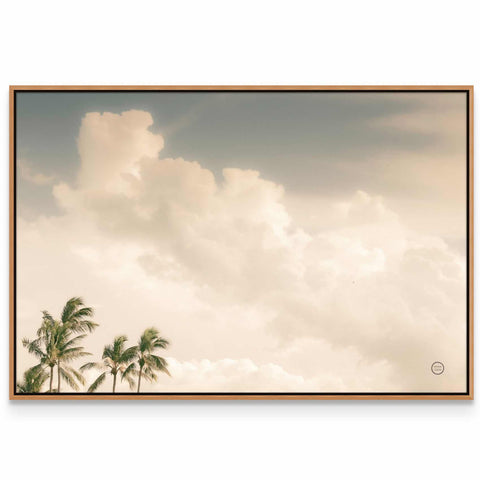 a picture of palm trees against a cloudy sky